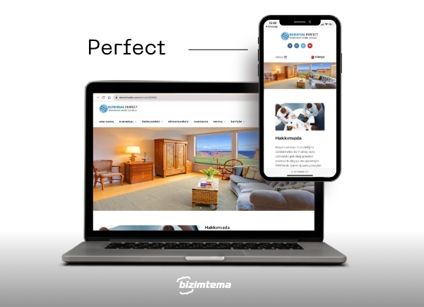 Kurumsal Web Sitesi Perfect 