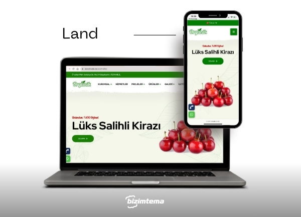 Meyve Sebze Tarım Firma Web Sitesi Land